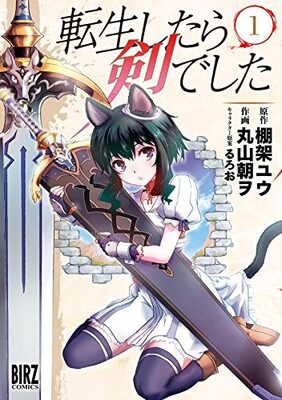 I Was a Sword When I Reincarnated (Web Novel)