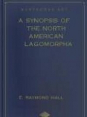 A Synopsis of the North American Lagomorpha