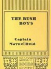 The Bush Boys