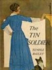 The Tin Soldier