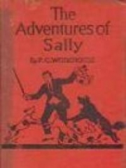 The Adventures of Sally