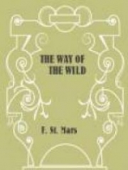 The Way of the Wild