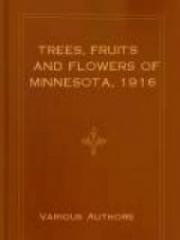 Trees, Fruits and Flowers of Minnesota