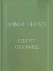 Animal Ghosts