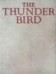 The Thunder Bird